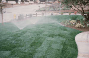 watering sod - care for new sod
