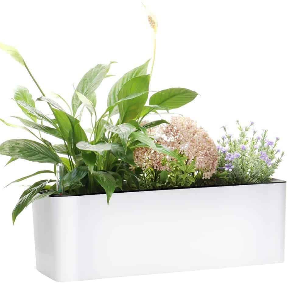 Elongated Self Watering Planter Pots Window Box