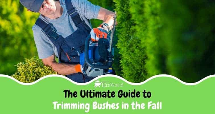 trimming bushes in the fall