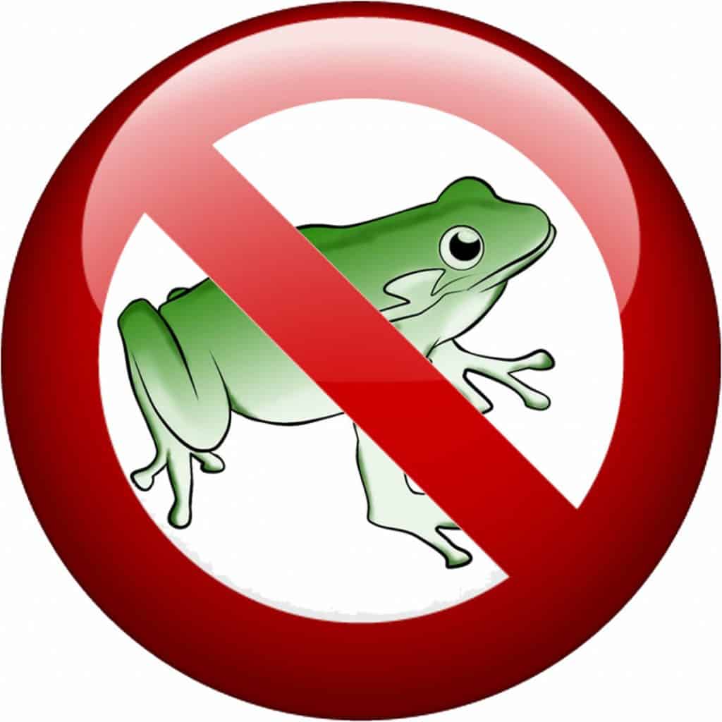 Getting rid of frogs from your garden