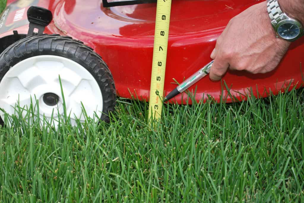 Measuring the lawnmower cutting height