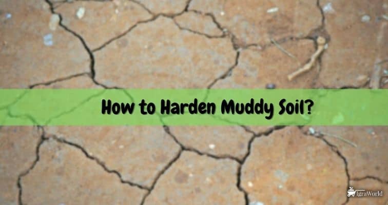 How to Harden Muddy Soil