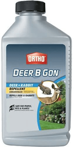 Ortho Deer B Gon Deer and Rabbit Repellent Concentrate