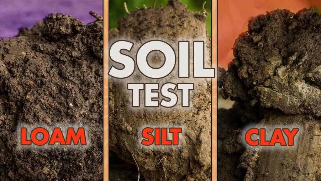 Test to Determine Soil Type