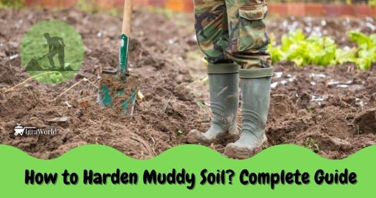 how to harden muddy soil?