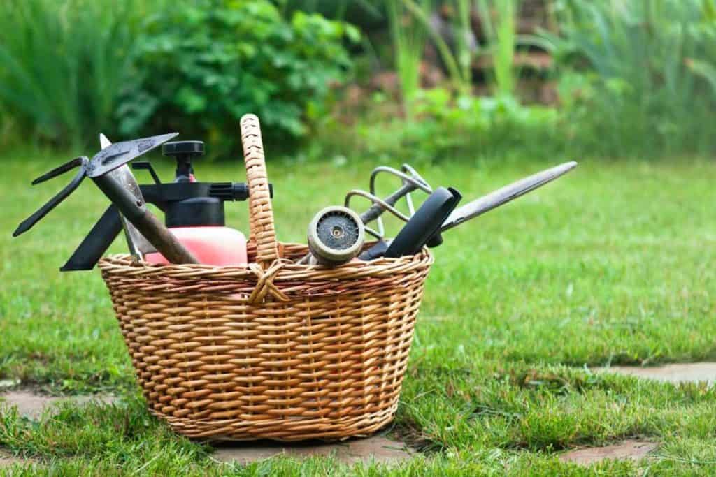 The Best Tools for Weeding