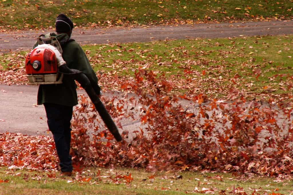 Things to Consider Before Buying a Leaf Blower