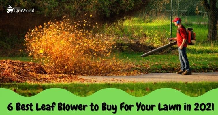 leaf blower