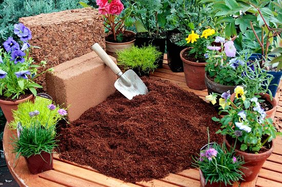 How to Use Coconut Coir in Your Garden