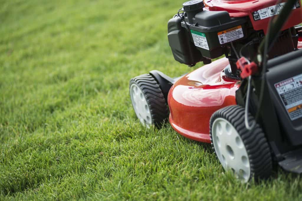 How to select a right mower