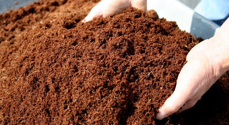 Steps to Using Coco Coir