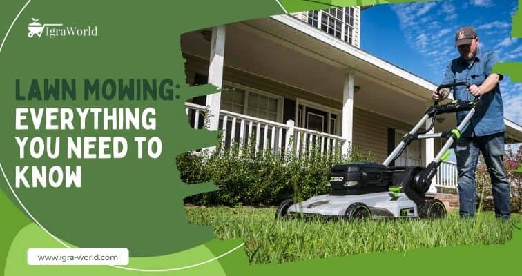 Lawn Mowing: Things to Know Before You Mow