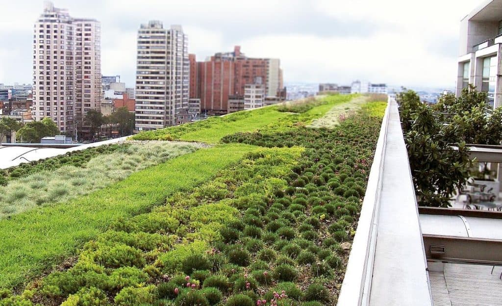 Types of Green Roof