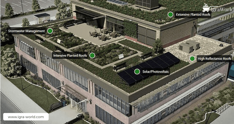 Types of Green Roofs