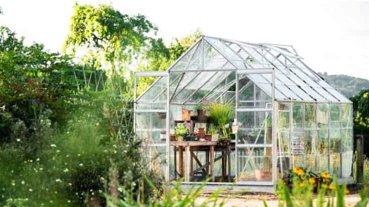 How Does a Greenhouse Work?