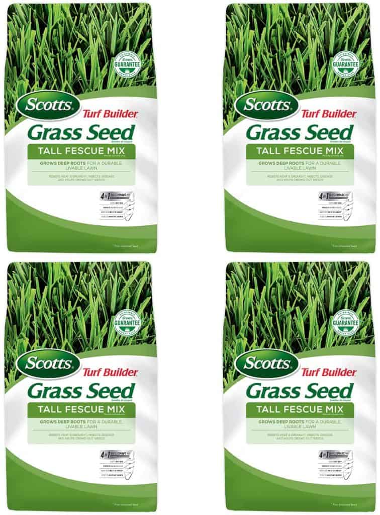 Scotts Turf Builder Grass Seed Tall Fescue Mix- Drought Tolerant