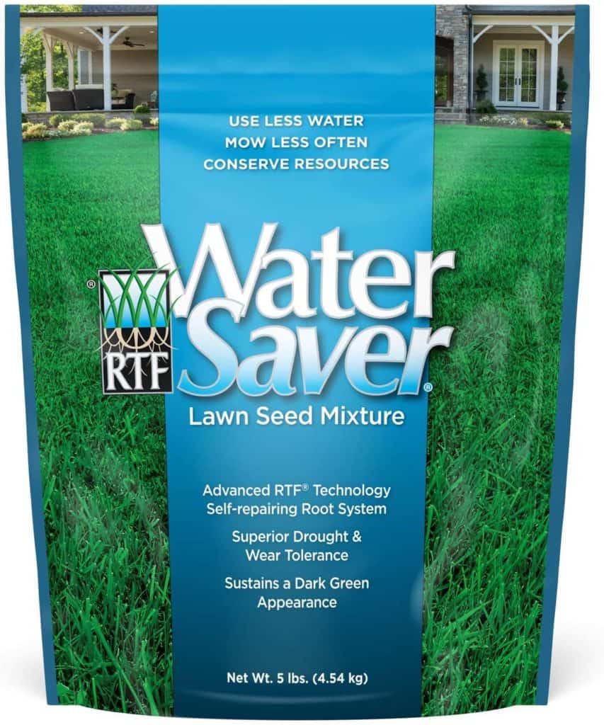 WaterSaver Grass Mixture with Turf-Type Tall Fescue