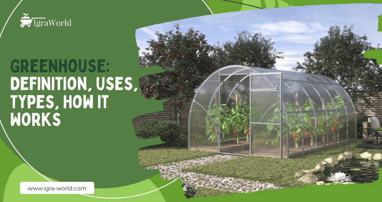 Greenhouse: Definition, Uses, Types, How it Works