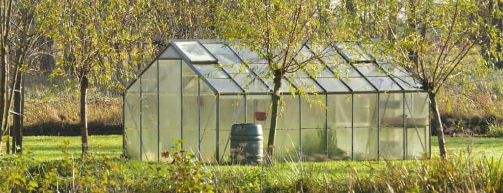 Things to Consider Before Selecting the Best Greenhouse Kit