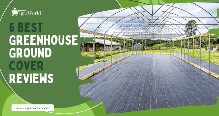 6 Best Greenhouse Ground Cover Reviews (Top Flooring Options)