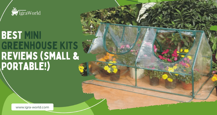 Best Mini Greenhouse Kits Reviews (Small & Portable!)