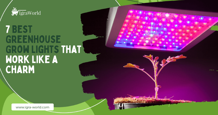 7 Best Greenhouse Grow Lights that Work Like a Charm