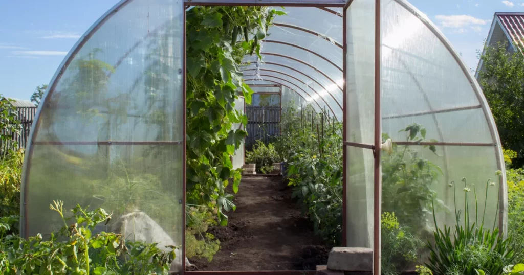 10 Tips on Choosing the Best Spot for Greenhouse