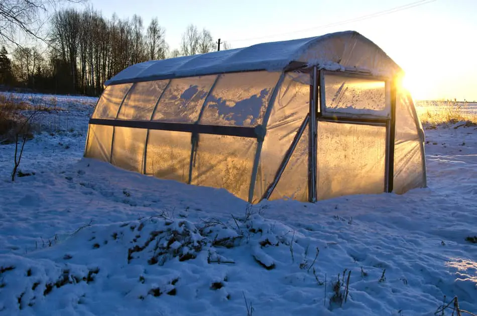 Heating Your Greenhouse for Free
