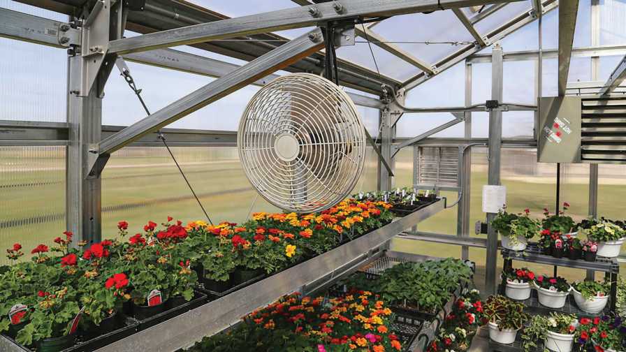 Install Greenhouse Fans