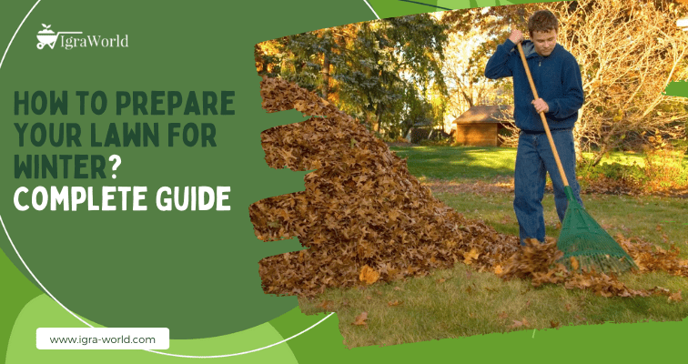How to Prepare Your Lawn For Winter