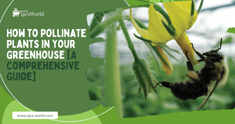 How to Pollinate Plants in Your Greenhouse? [A Comprehensive Guide]